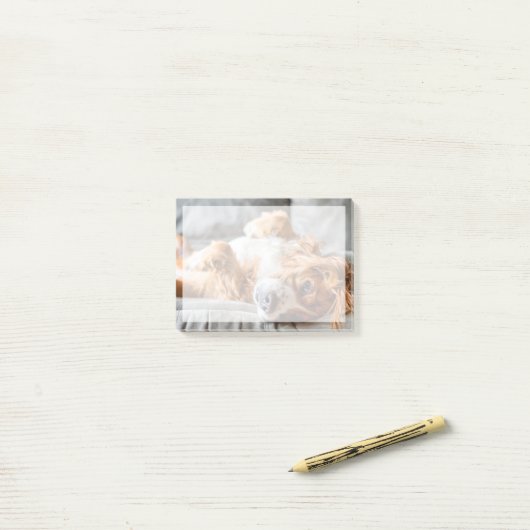 Kutest Baby Animals | Cocker Spaniel Post-it® Notes (Op bureau)