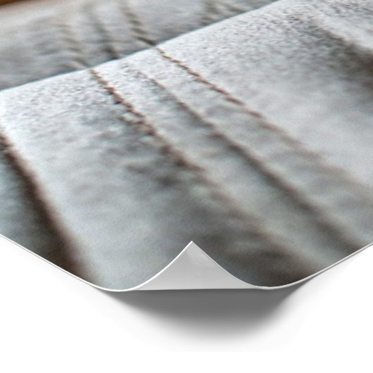 Kutest Baby Animals | Cocker Spaniel Poster (Hoek)