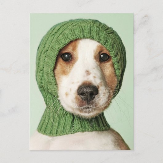 Kutest Baby Animals | Cocker Spaniel Puppy Briefkaart (Voorkant)