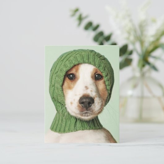 Kutest Baby Animals | Cocker Spaniel Puppy Briefkaart (Staand voorkant)