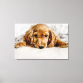 Kutest Baby Animals | Cocker Spaniel Puppy Canvas Afdruk (Voorkant)