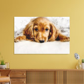 Kutest Baby Animals | Cocker Spaniel Puppy Canvas Afdruk (Insitu (Woonkamer))