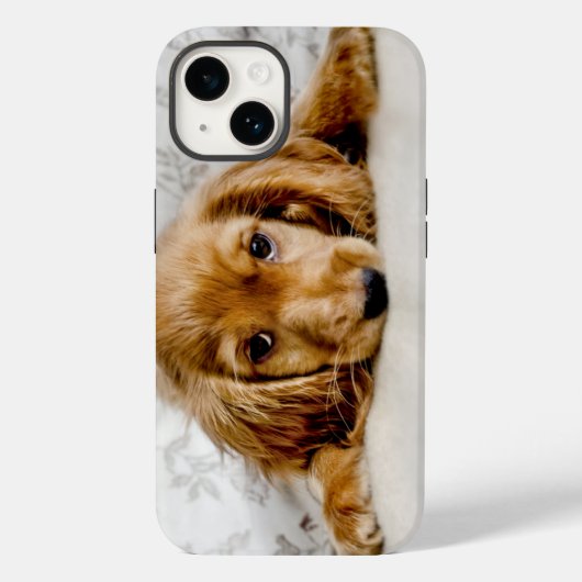 Kutest Baby Animals | Cocker Spaniel Puppy Case-Mate iPhone Case (Achterkant)