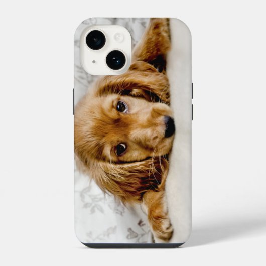 Kutest Baby Animals | Cocker Spaniel Puppy iPhone Hoesje (Achterkant)