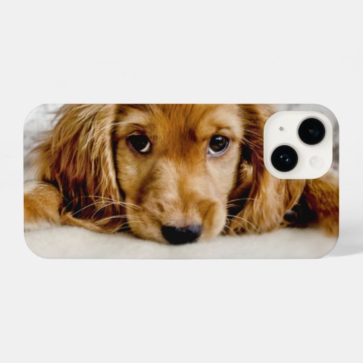 Kutest Baby Animals | Cocker Spaniel Puppy iPhone Hoesje (Achterkant horizontaal)