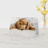 Kutest Baby Animals | Cocker Spaniel Puppy Kaart (Gele Bloem)