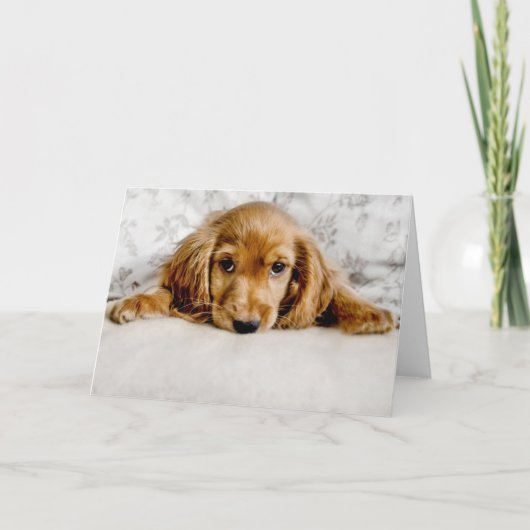 Kutest Baby Animals | Cocker Spaniel Puppy Kaart (Voorkant)
