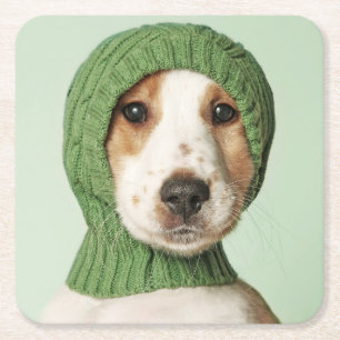 Kutest Baby Animals   Cocker Spaniel Puppy Kartonnen Onderzetters