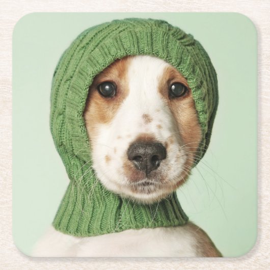 Kutest Baby Animals | Cocker Spaniel Puppy Kartonnen Onderzetters (Voorkant)