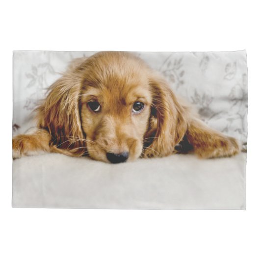 Kutest Baby Animals | Cocker Spaniel Puppy Kussensloop (Achterkant)