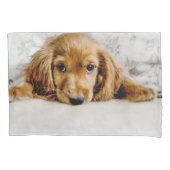 Kutest Baby Animals | Cocker Spaniel Puppy Kussensloop (Voorkant)