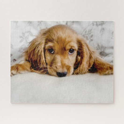 Kutest Baby Animals | Cocker Spaniel Puppy Legpuzzel (Horizontaal)