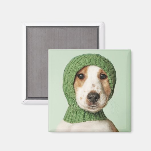 Kutest Baby Animals | Cocker Spaniel Puppy Magneet (Voorkant / Achterkant)