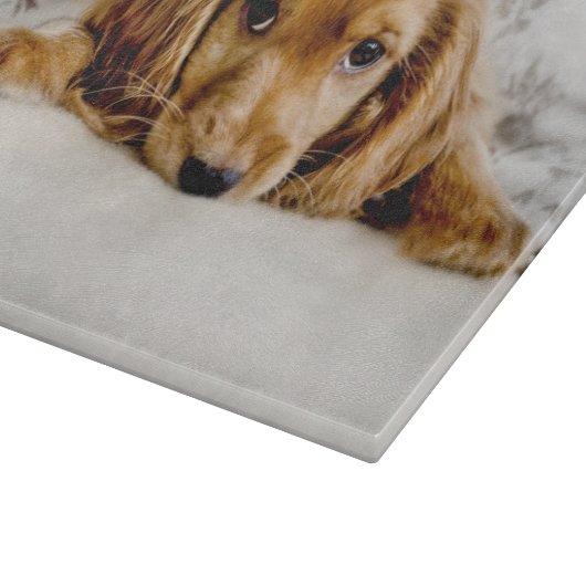 Kutest Baby Animals | Cocker Spaniel Puppy Snijplank (Hoek)