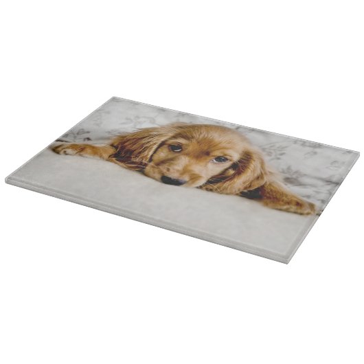 Kutest Baby Animals | Cocker Spaniel Puppy Snijplank (Hoek)