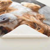 Kutest Baby Animals | Cocker Spaniel Sherpa Deken (3/4)