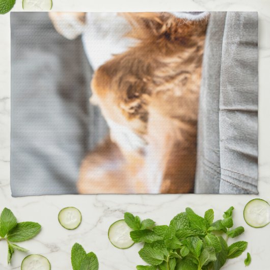 Kutest Baby Animals | Cocker Spaniel Theedoek (Gevouwen)