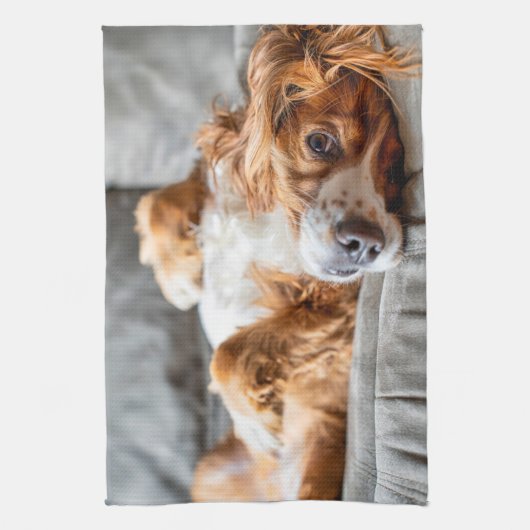 Kutest Baby Animals | Cocker Spaniel Theedoek (Verticaal)
