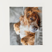 Kutest Baby Animals | Cocker Spaniel Wandkleed (Voorkant)