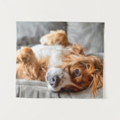 Kutest Baby Animals | Cocker Spaniel Wandkleed (Voorkant (horizontaal))