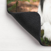 Kutest Baby Animals | Collie aan de Zwarte en Witt Muismat (Hoek)