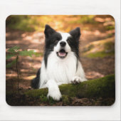 Kutest Baby Animals | Collie aan de Zwarte en Witt Muismat (Voorkant)