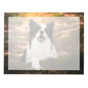 Kutest Baby Animals Collie aan de Zwarte en Witt Notitieblok