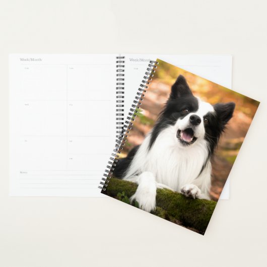 Kutest Baby Animals | Collie aan de Zwarte en Witt Planner (Display)