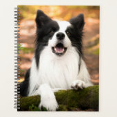 Kutest Baby Animals | Collie aan de Zwarte en Witt Planner (Voorkant)