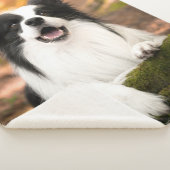 Kutest Baby Animals | Collie aan de Zwarte en Witt Sherpa Deken (3/4)