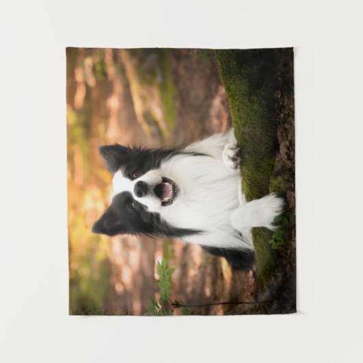 Kutest Baby Animals | Collie aan de Zwarte en Witt Wandkleed (Voorkant)