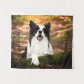 Kutest Baby Animals | Collie aan de Zwarte en Witt Wandkleed (Voorkant (horizontaal))