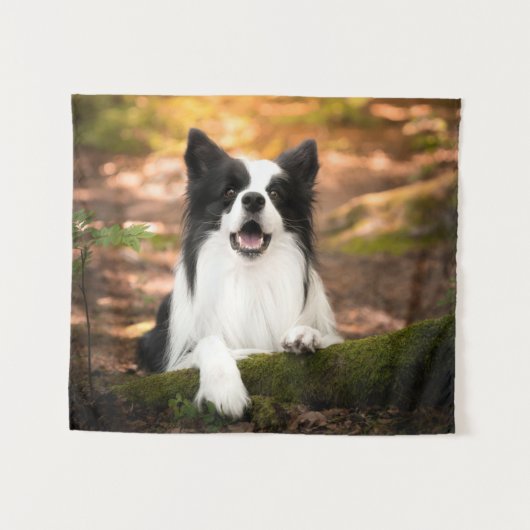 Kutest Baby Animals | Collie aan de Zwarte en Witt Wandkleed (Voorkant (horizontaal))