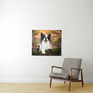 Kutest Baby Animals   Collie aan de Zwarte en Witt Wandkleed