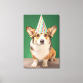 Kutest Baby Animals | Corgi Birthday Puppy Canvas Afdruk (Voorkant)