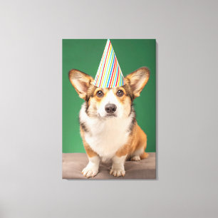 Kutest Baby Animals Corgi Birthday Puppy Canvas Afdruk