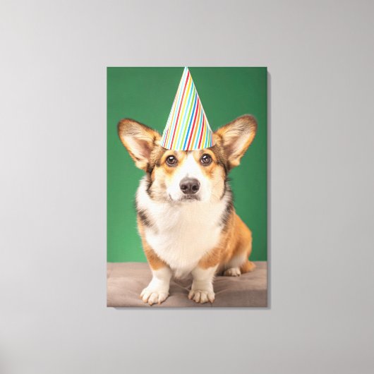 Kutest Baby Animals | Corgi Birthday Puppy Canvas Afdruk (Voorkant)