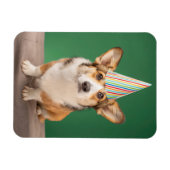 Kutest Baby Animals | Corgi Birthday Puppy Magneet (Horizontaal)