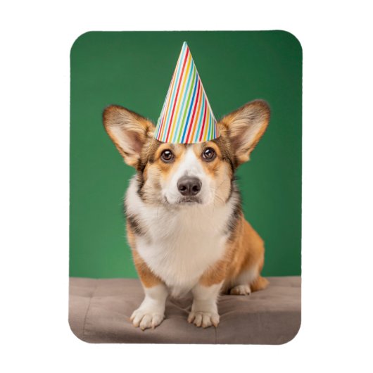 Kutest Baby Animals | Corgi Birthday Puppy Magneet (Verticaal)