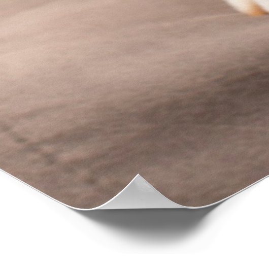 Kutest Baby Animals | Corgi Birthday Puppy Poster (Hoek)