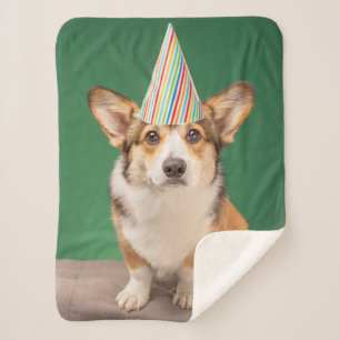 Kutest Baby Animals   Corgi Birthday Puppy Sherpa Deken