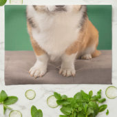 Kutest Baby Animals | Corgi Birthday Puppy Theedoek (Gevouwen)