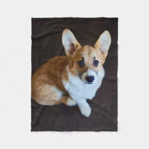Kutest Baby Animals Corgi die omhoog kijkt Fleece Deken