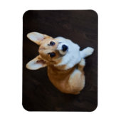 Kutest Baby Animals | Corgi die omhoog kijkt Magneet (Verticaal)