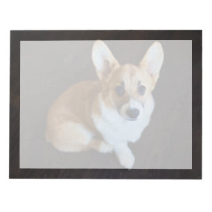 Kutest Baby Animals   Corgi die omhoog kijkt Notitieblok