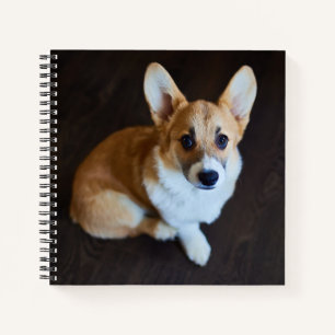 Kutest Baby Animals Corgi die omhoog kijkt Notitieboek