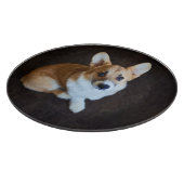 Kutest Baby Animals | Corgi die omhoog kijkt Snijplank (Hoek)