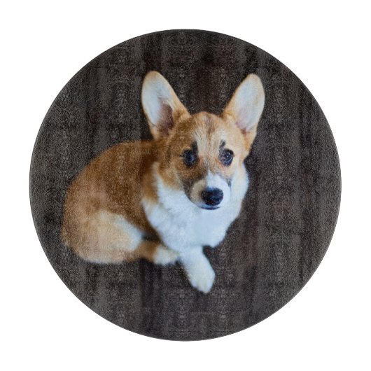 Kutest Baby Animals | Corgi die omhoog kijkt Snijplank (Voorkant)