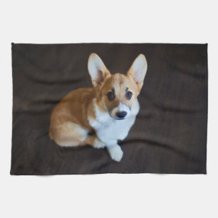 Kutest Baby Animals   Corgi die omhoog kijkt Theedoek