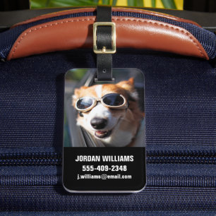 Kutest Baby Animals   Corgi Goggles in de auto Bagagelabel